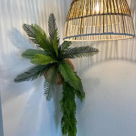 Jungle - Vue - Clim - Wifi * Lurdy