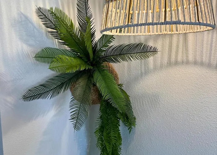 Jungle - Vue - Clim - Wifi * Lourdes